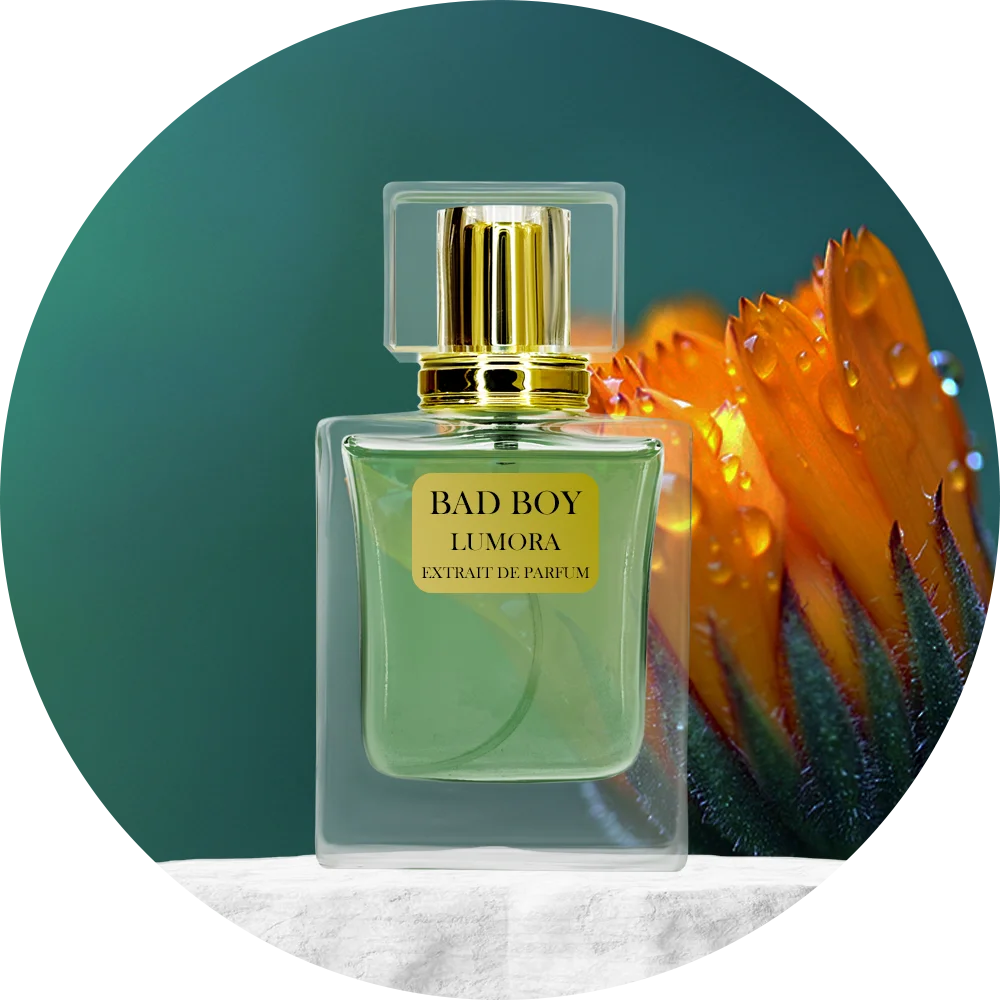Bad Boy (Hawas Al-Rasasi)