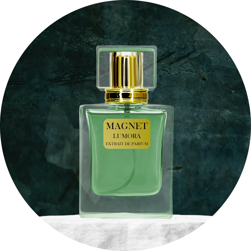 Magnet (Armani Mania)