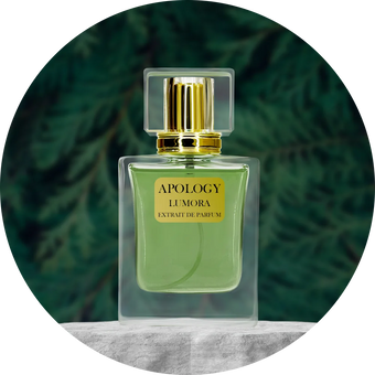 Apology (Polo Green)