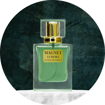 Magnet (Armani Mania)